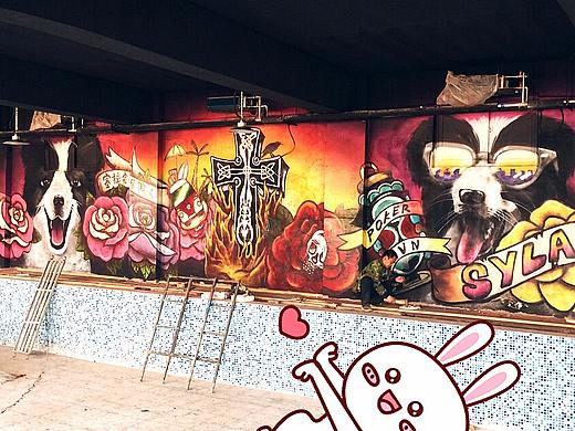 北京DNA涂鸦团队&塞拉边牧训练场繁殖基地街头涂鸦创作