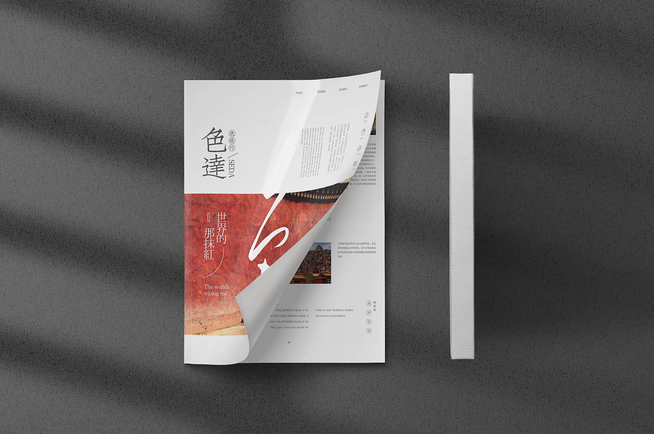 画册设计作品展示
