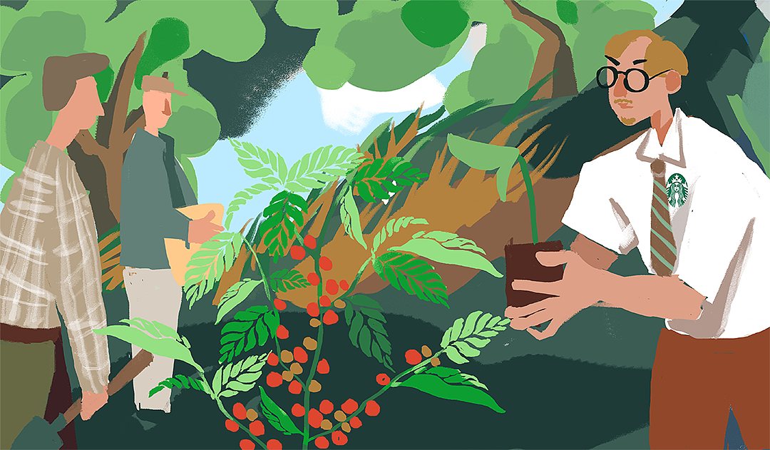 星巴克风味介绍小视频