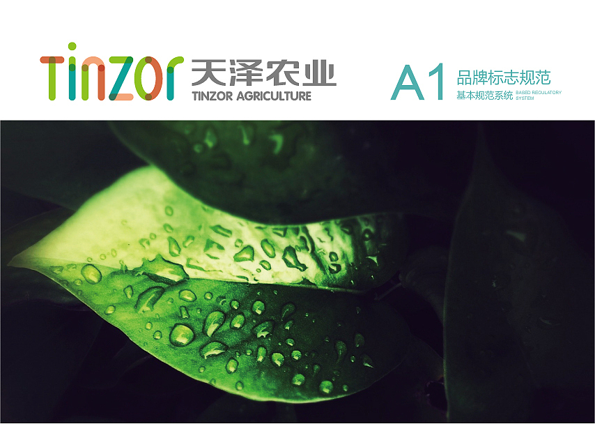 天泽农业品牌视觉形象（图ZNjMwMzcwOTI=） - 品牌 - 站酷设计师易敏24原创素材 - 站酷ZCOOL