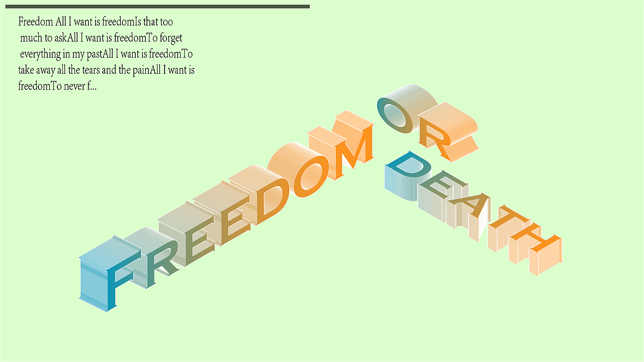 要么自由要么....精简海报