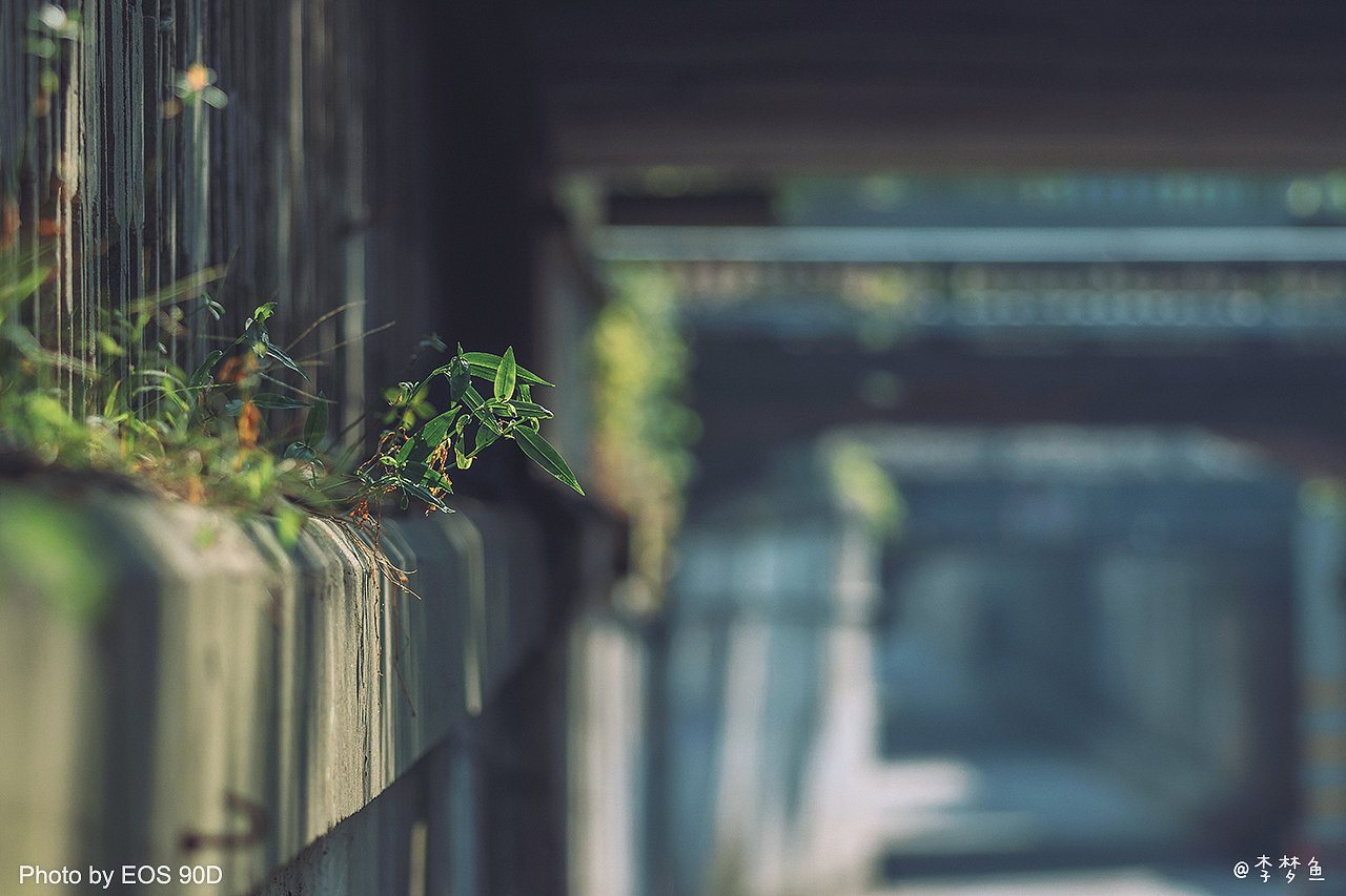 11度的冬天（图ZMTkwMjY3MzAw） - 人像摄影 - 站酷设计师腰果虾仁原创素材 - 站酷ZCOOL