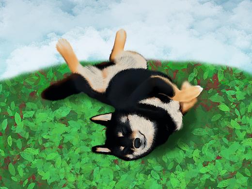 拿到ipad时候的第一张画