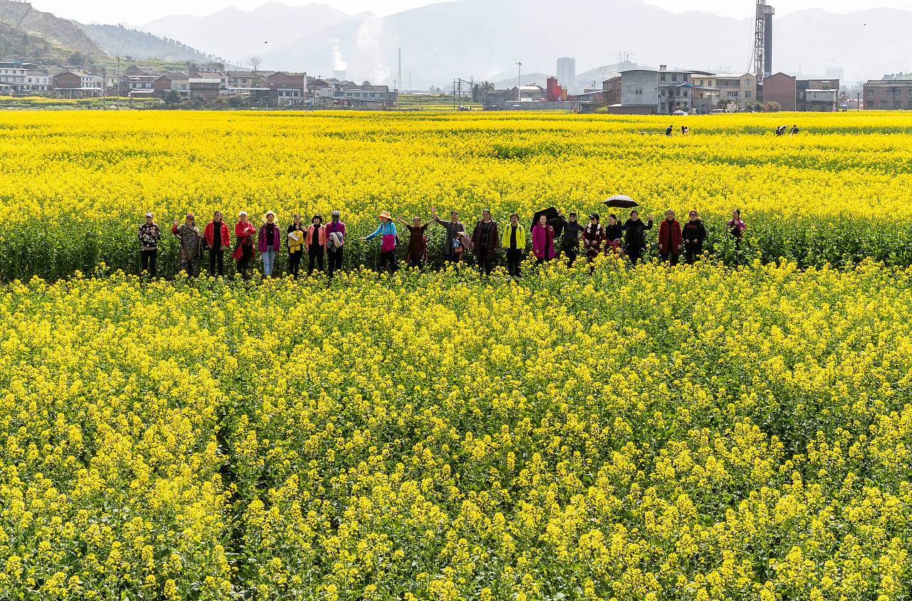 重庆南川:踏青赏花享春光