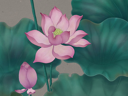 夏日荷花