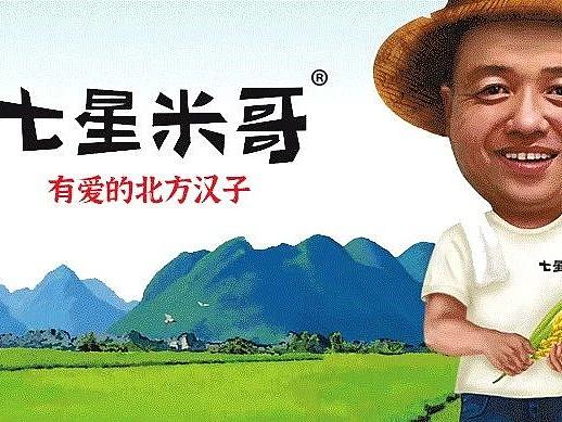 沈阳奇思创意-七星米哥全案解析