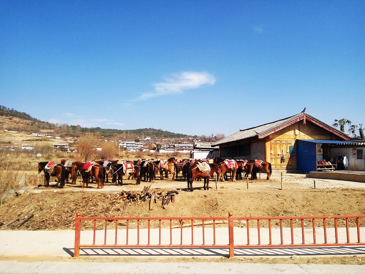 丽江千古情 拉市海 清溪水库
