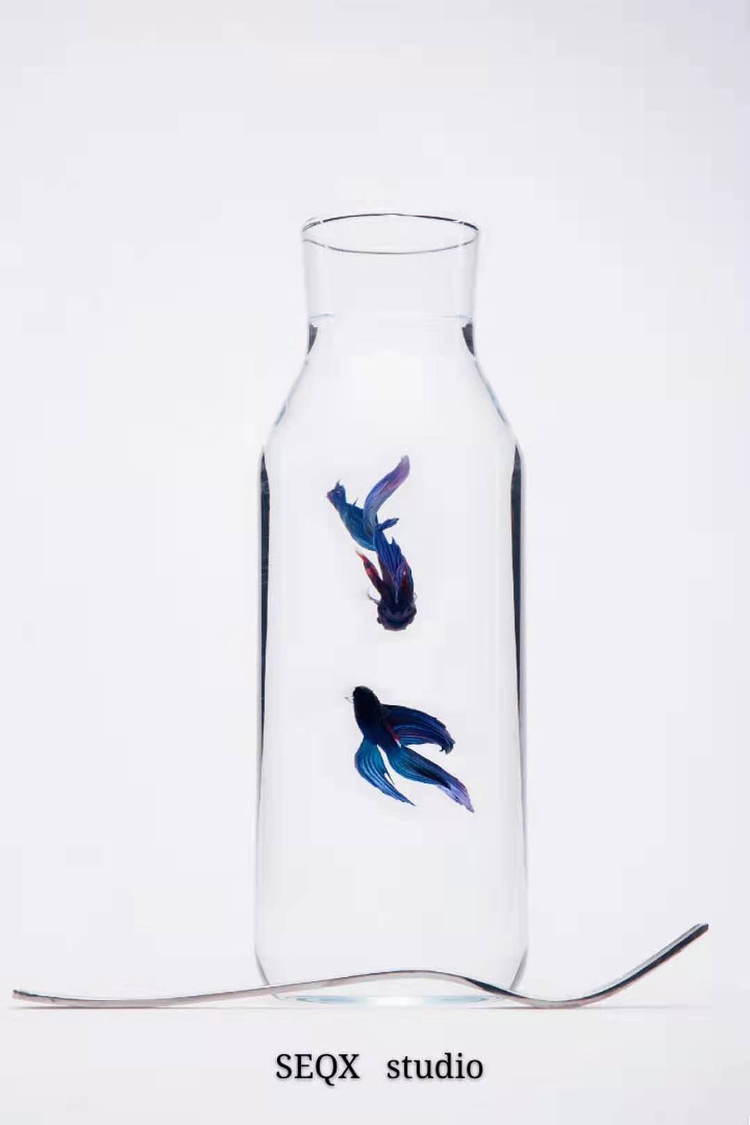 2019年高级静物创作型摄影作品