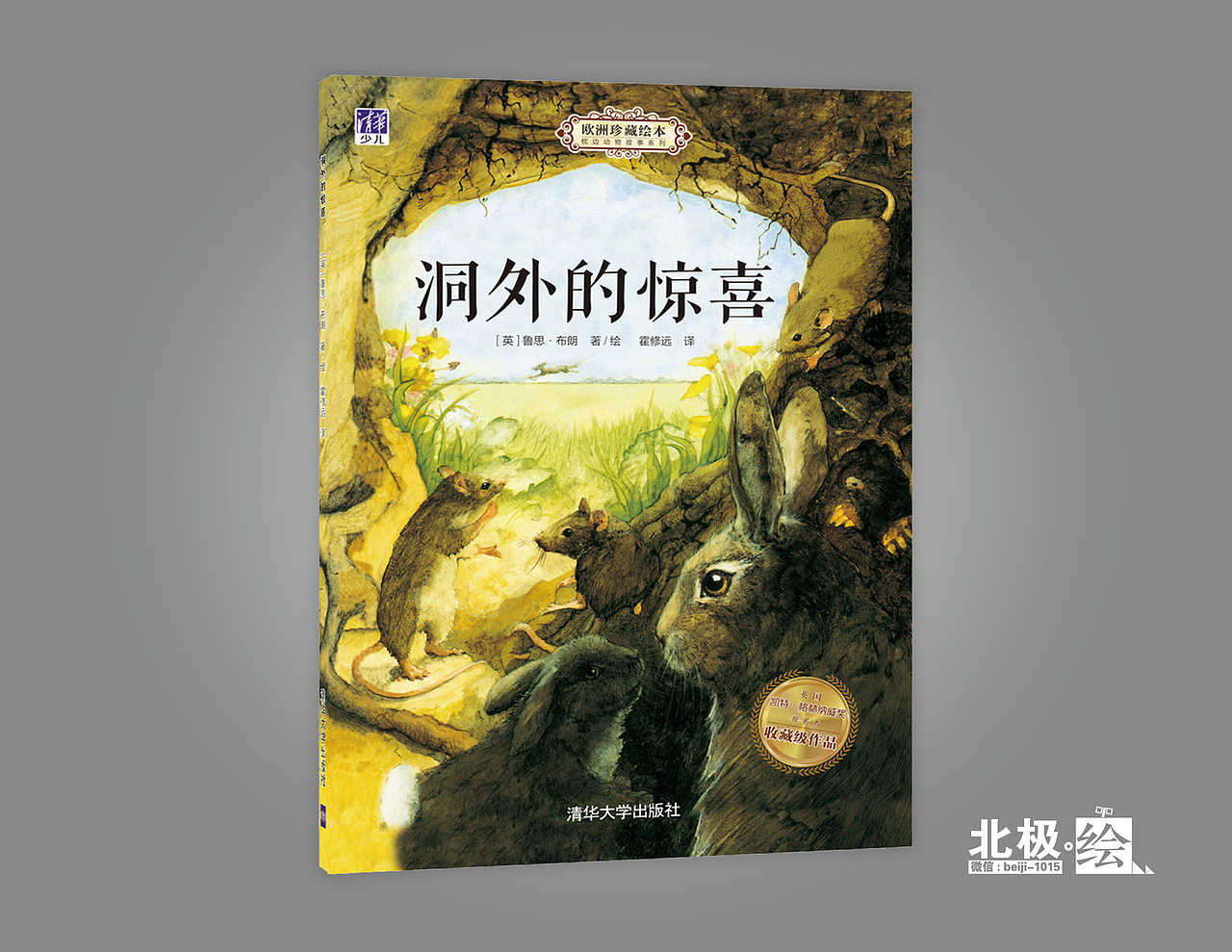 【书籍装帧设计】少儿类书籍封面设计系列作品-已商用（图ZMjIzNTU1MDE2） - 书籍/画册 - 站酷设计师北极以北821015原创素材 - 站酷ZCOOL