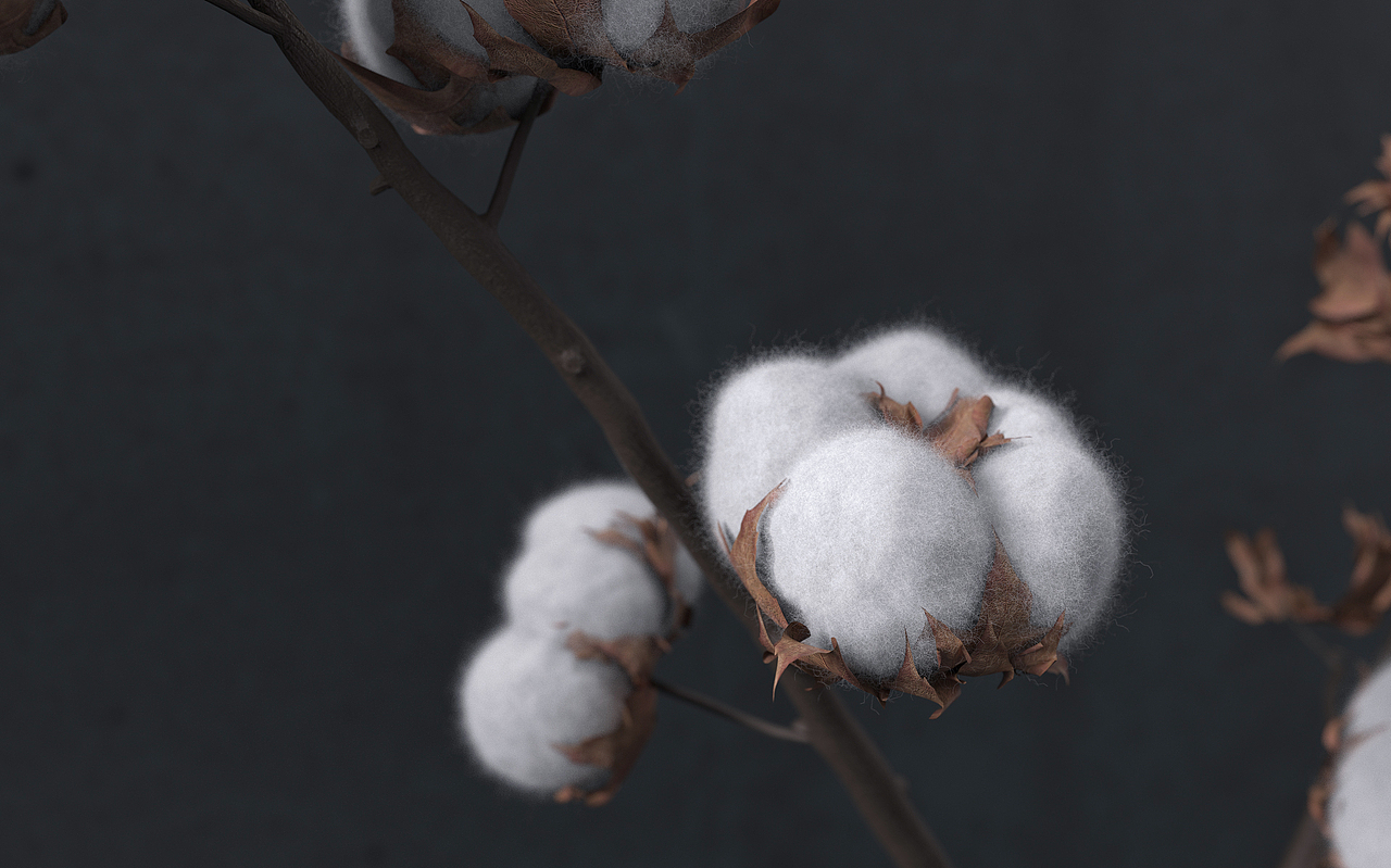 《产品渲染》2021.9（图ZMjcyMjg3NDAw） - 生活用品 - 站酷设计师沐风la原创素材 - 站酷ZCOOL