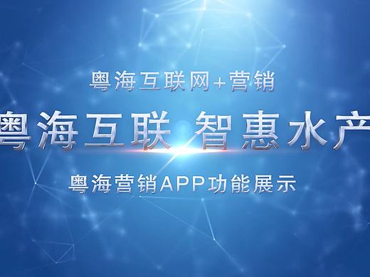 粤海APP视频包装