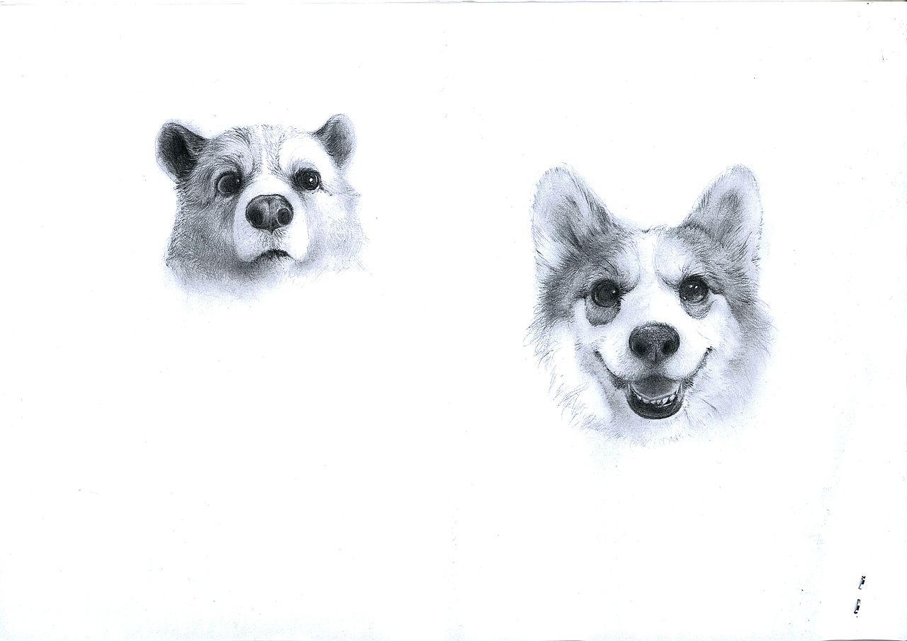 懒（图ZMjQ0Mzg3MjYw） - 创作习作 - 站酷设计师seasonjune原创素材 - 站酷ZCOOL