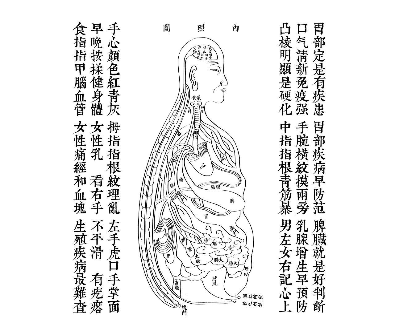 手诊医书(图ZNTM1MTQ5OTY=) - 书籍/画册 - 站酷设计师风金刚原创素材 - 站酷ZCOOL