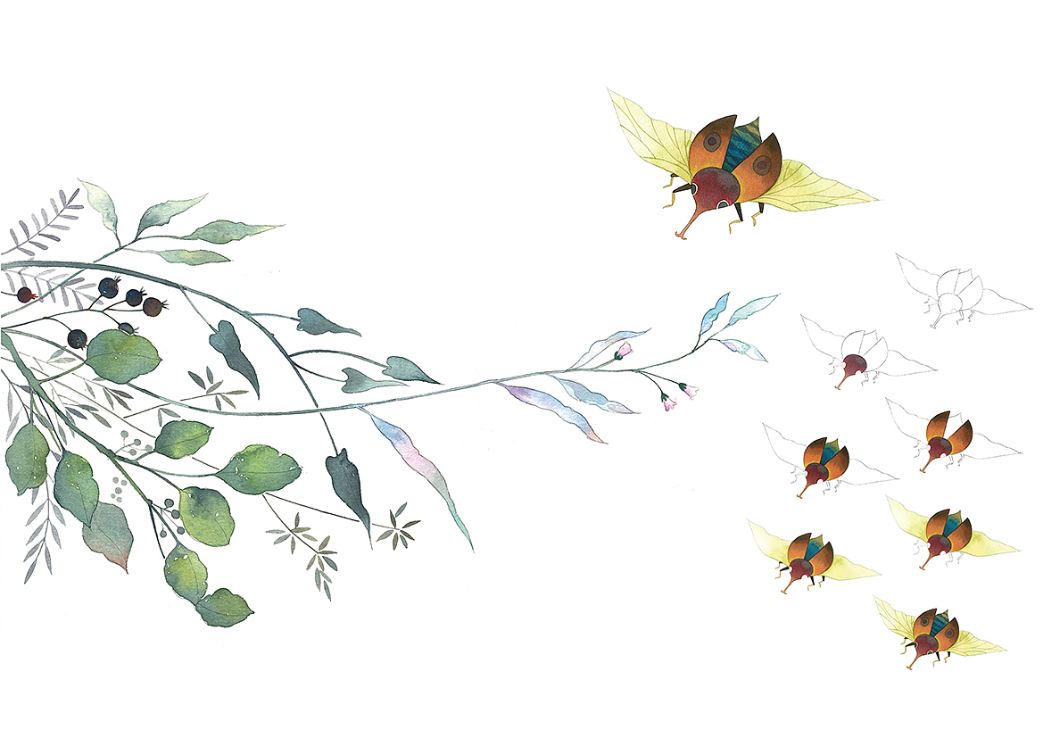 最新出版水彩教程书《昆虫记》（图ZMTEzODM4MTAw） - 商业插画 - 站酷设计师皮痞祖2016原创素材 - 站酷ZCOOL