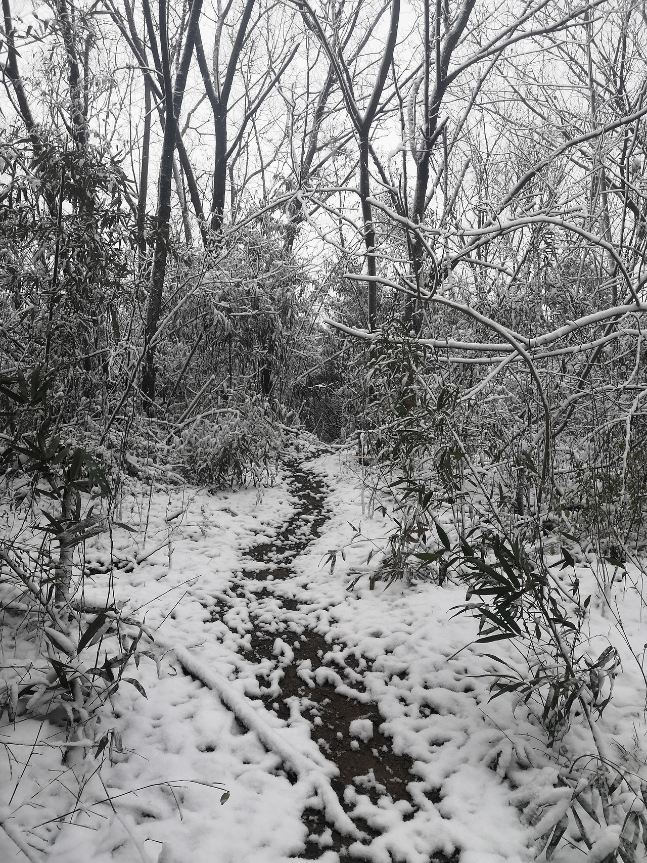 《冬》（图ZMjQxMTI4NDY0） - 风光摄影 - 站酷设计师Noahguo原创素材 - 站酷ZCOOL