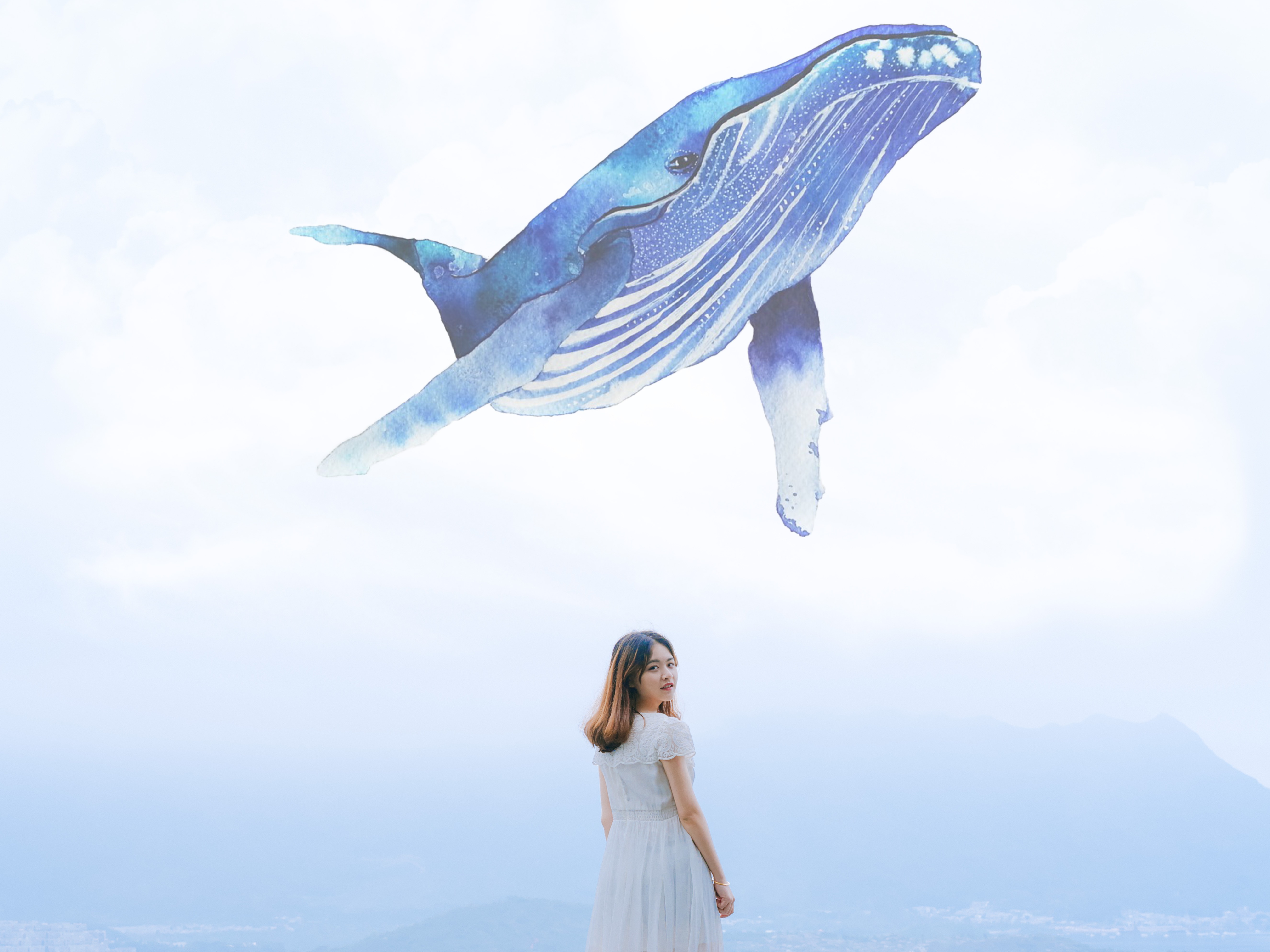 52赫兹鲸鱼-白日梦系列 摆件 創意禮物 | 赞尔JARLL品牌官方网站