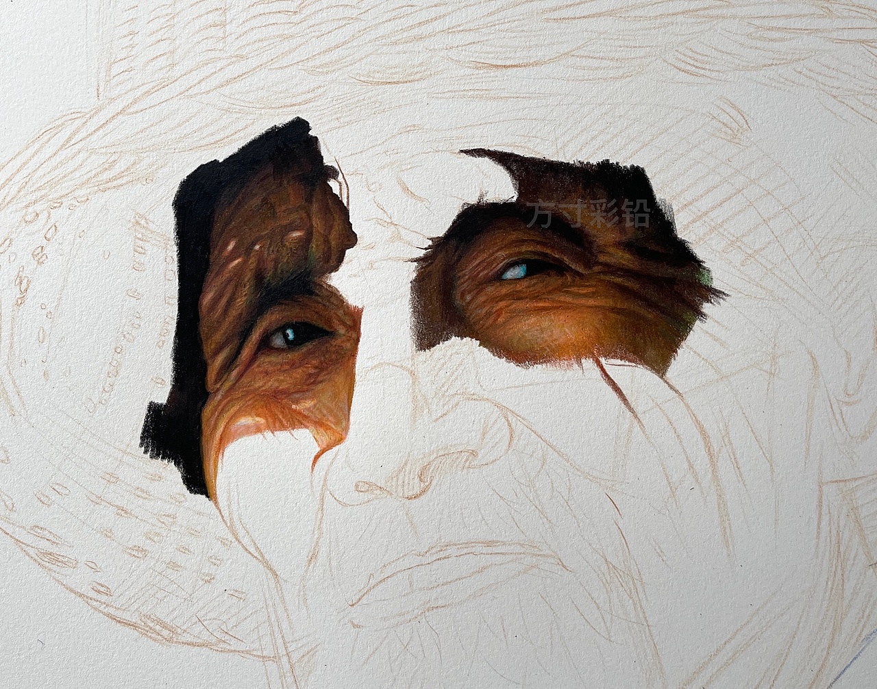 彩铅作品-老人肖像