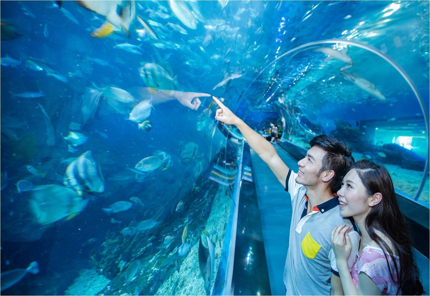 大连圣亚海洋世界