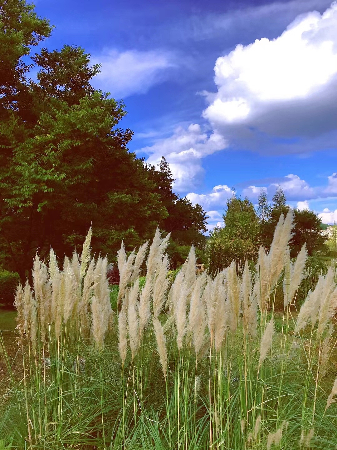 和秋天的第一场约会❤️