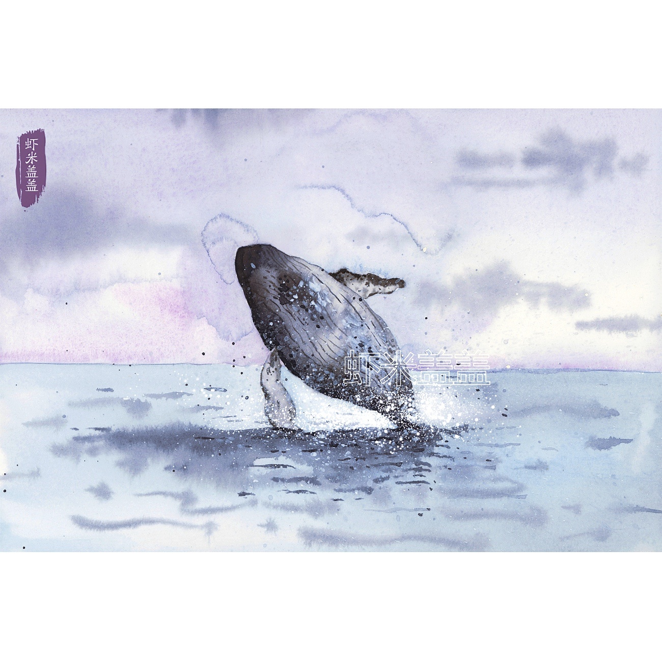 两张水彩手绘海洋元素插画