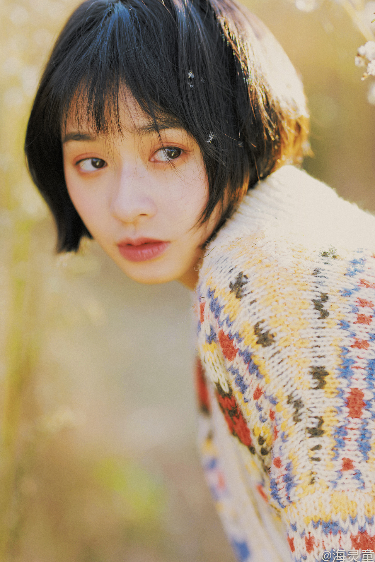 《暖秋遛猫记》