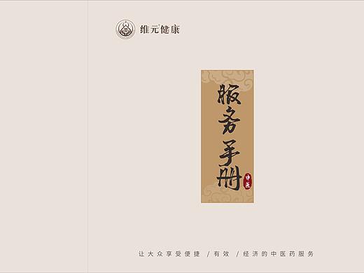 中医画册