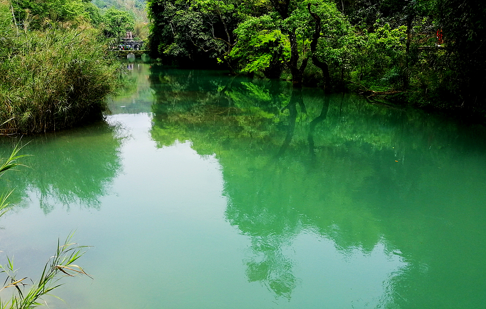 青山绿水韵味足