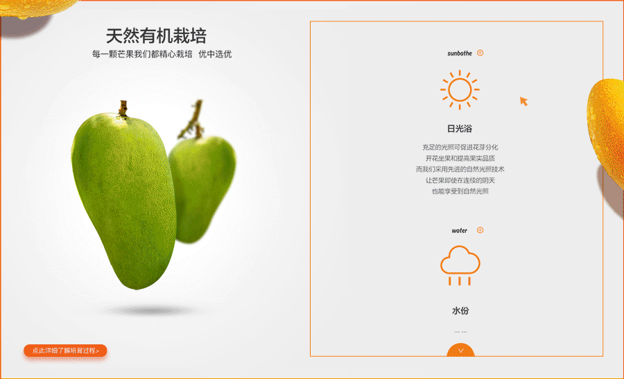 MANGO WEB（图ZNDAxNjg5NDQ=） - 企业官网 - 站酷设计师Liang_sj原创素材 - 站酷ZCOOL