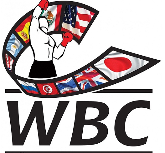 拳击四大组织