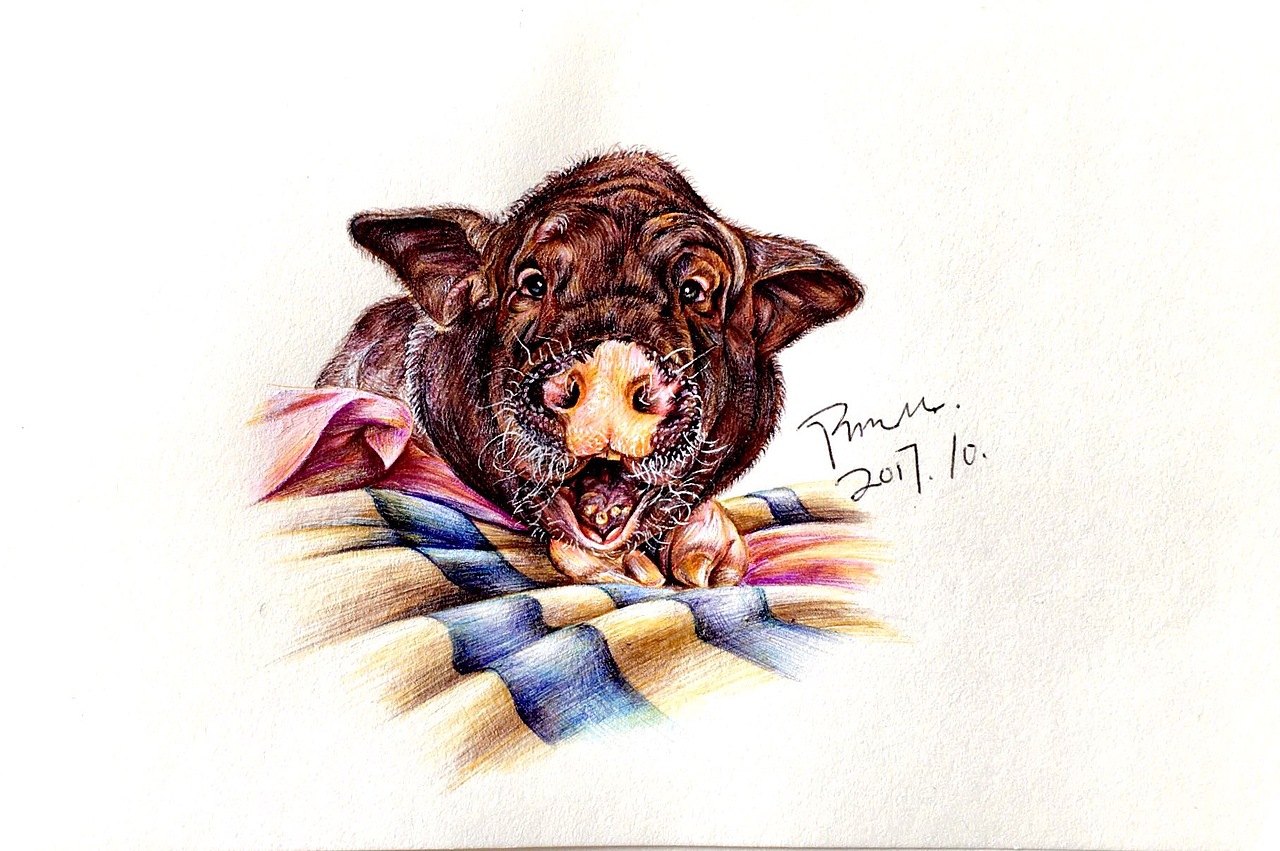 丹阳手绘·圆珠笔作品集|纯艺术|绘画|z丹阳的画_原创作品-站酷zcool