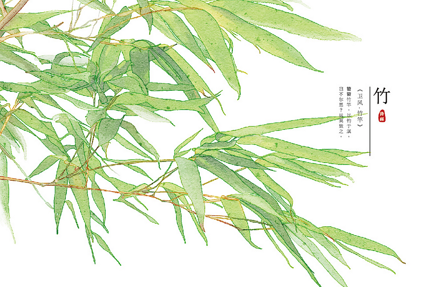 【诗经植物】系列（图ZODk5NTEzMzY=） - 商业插画 - 站酷设计师秋娘原创素材 - 站酷ZCOOL