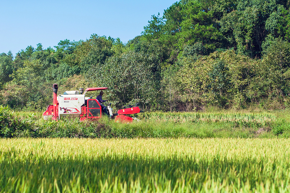 2015.09.30-10.06 故湘纪