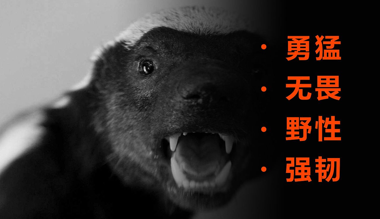 【品牌全案】RUNCL渔具品牌全案