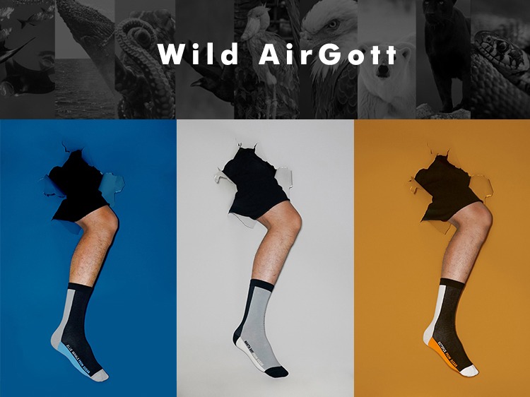 AirGott · 海陆空动物系列男袜