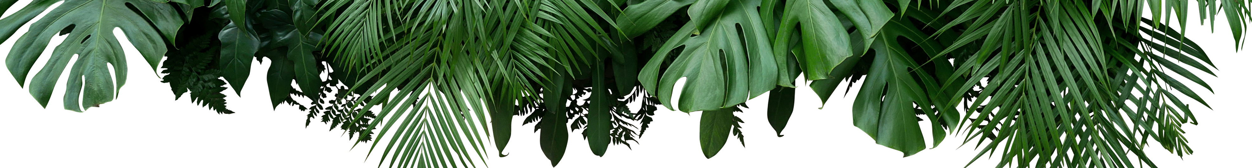 憋尿能憋很久的个人主页（封面预览） - 主页封面设置 - 站酷设计师憋尿能憋很久原创素材 - 站酷ZCOOL