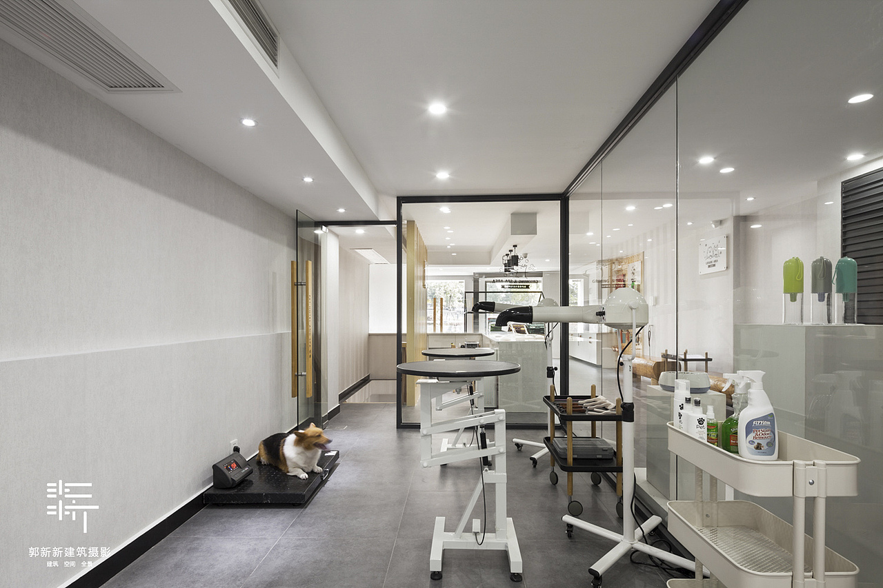 杭州它宅 PET HOTEL AND SPA 宠物酒店