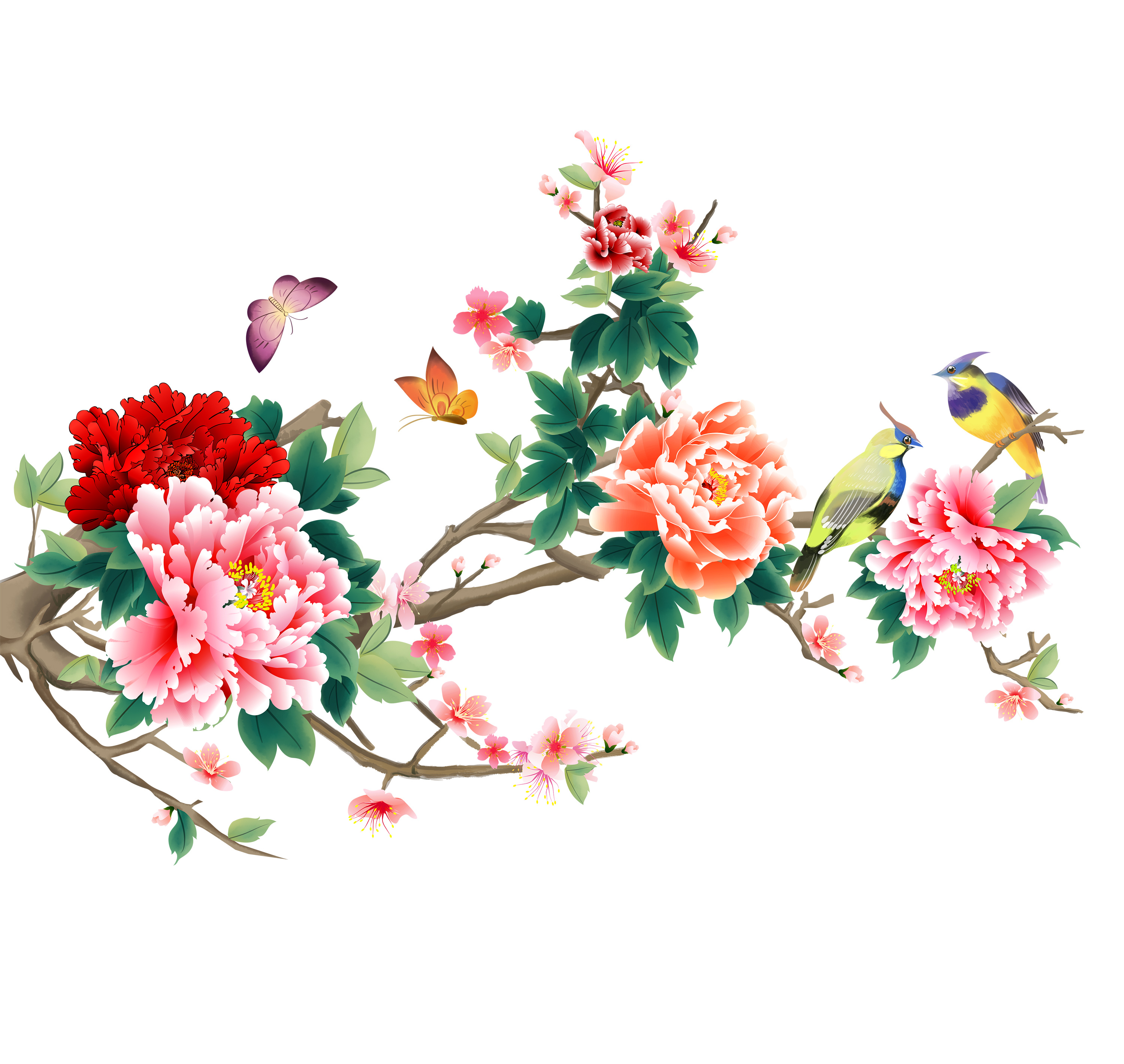 牡丹锦鲤花鸟tu