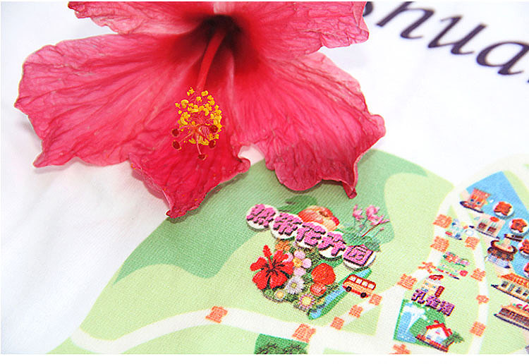 《玩转版纳》系列旅游文创产品(三)