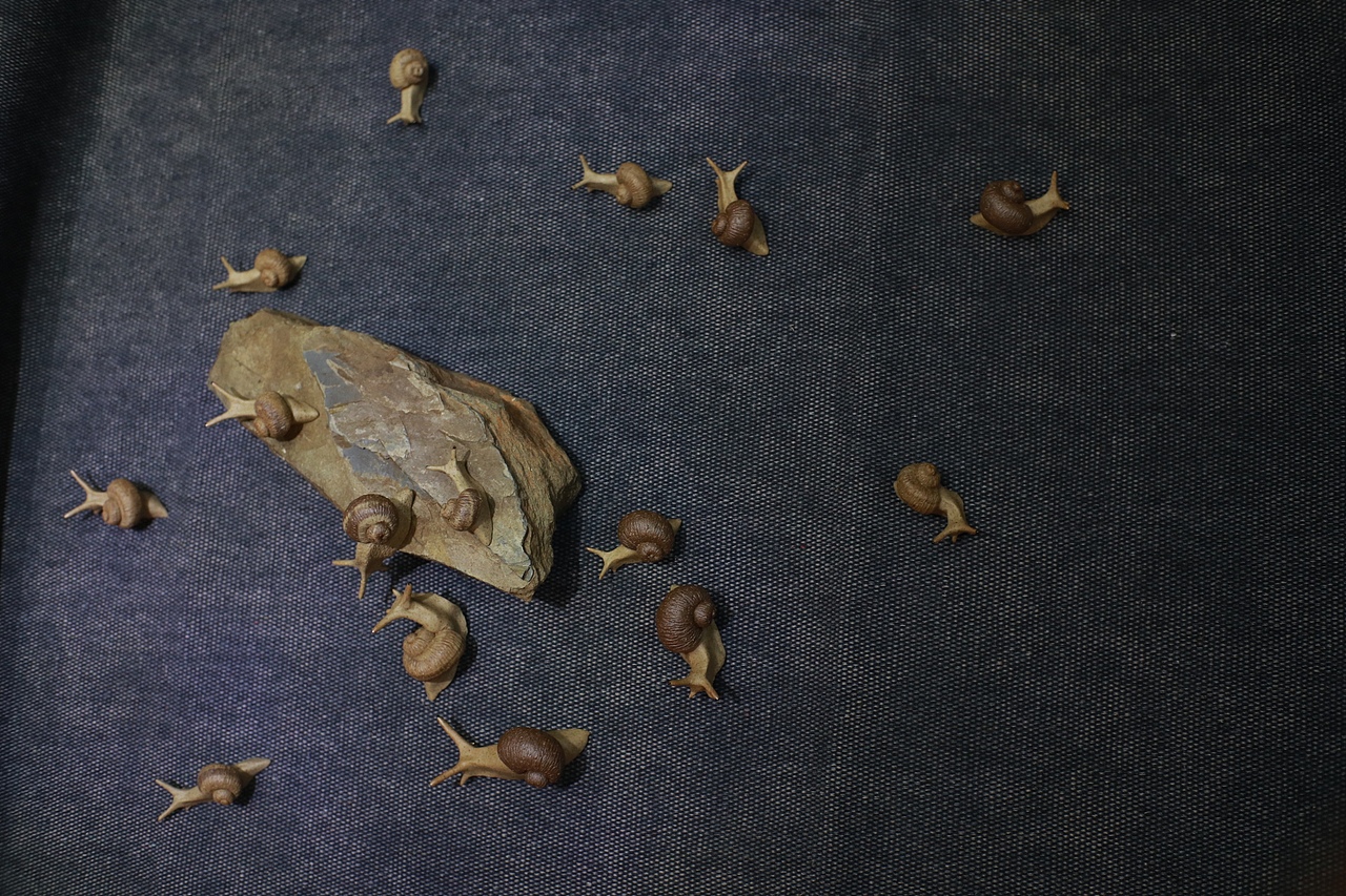 [z加油]（圖ZMTIxMzMzMDky） - 其他手工藝 - 站酷設(shè)計(jì)師樂亦123原創(chuàng)素材 - 站酷ZCOOL