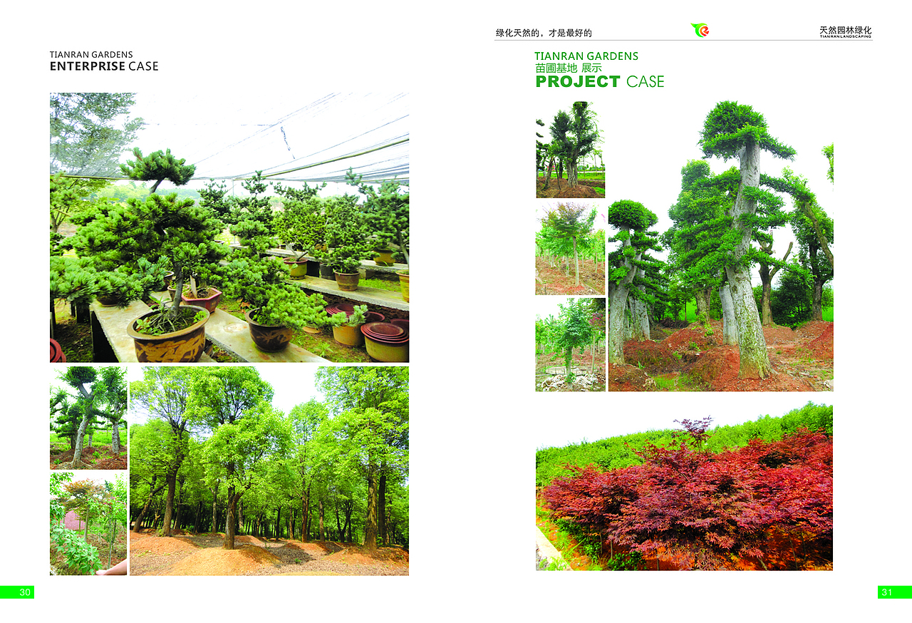 绿化公司画册 高超设计（图ZMTQ5NzUzMjc2） - 书籍/画册 - 站酷设计师高超设计原创素材 - 站酷ZCOOL