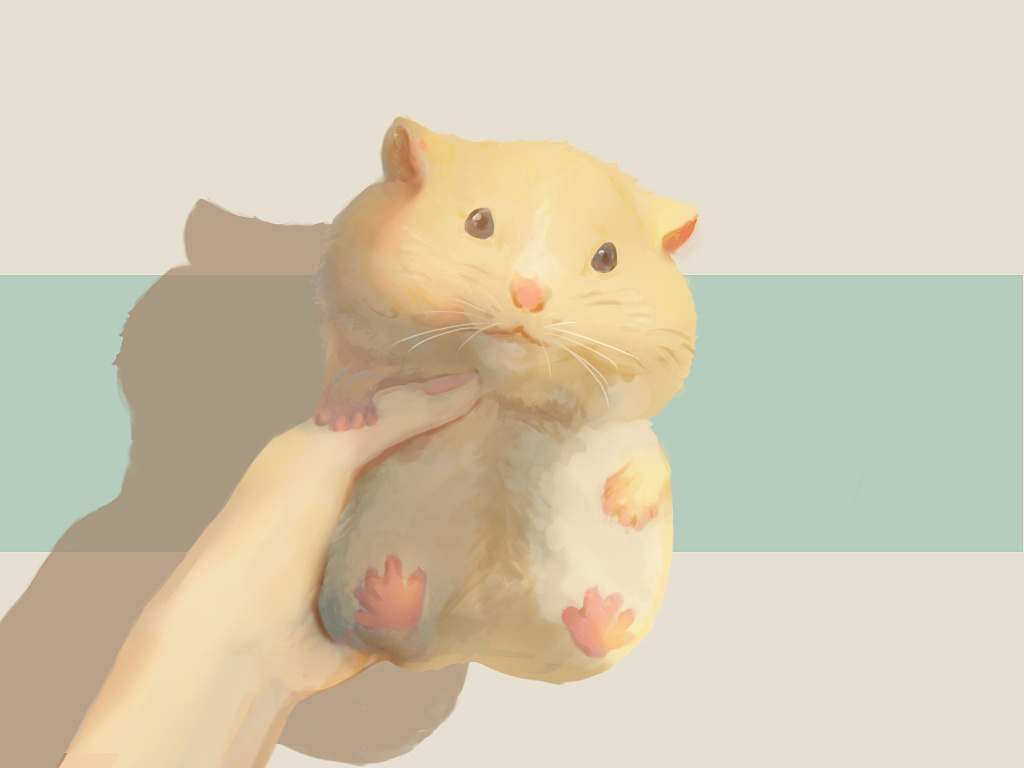 一只仓鼠|插画|创作习作|弋千尘 - 原创作品 - 站酷 (zcool)