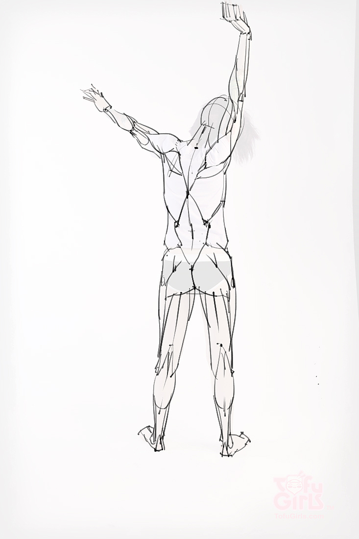 「素材」分享一波绘画专用人体解剖素材 part 09