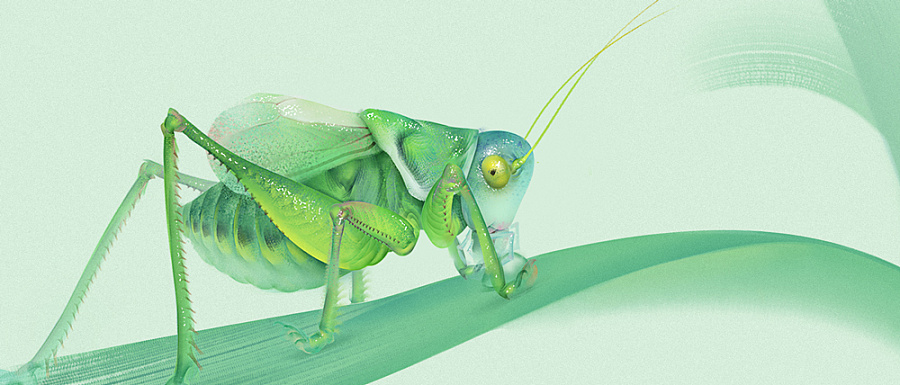 廿四节气绘·雨水|其他绘画|插画|fatxi - 原创设计作品 - 站酷