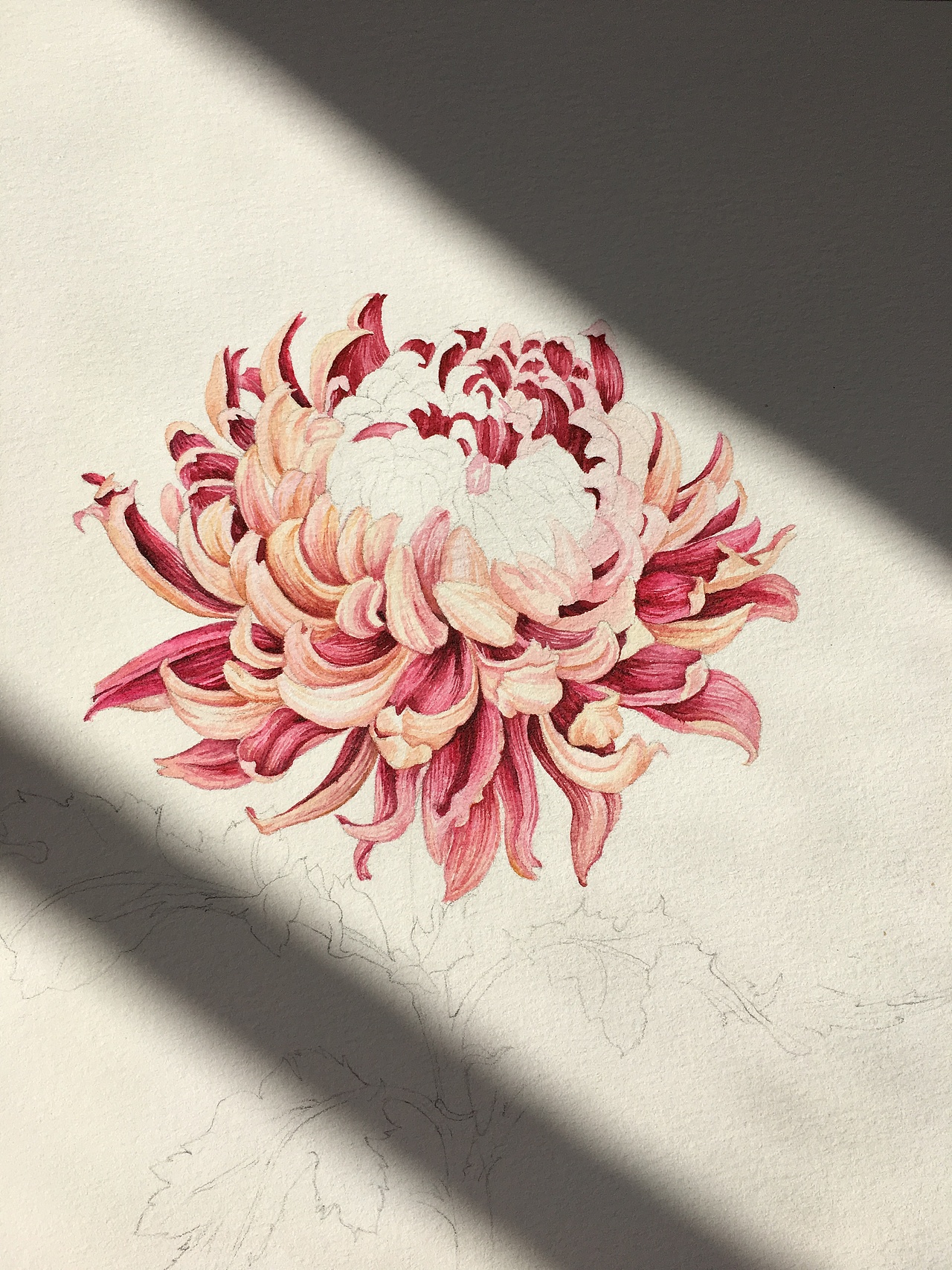 午后的阳光撒进来 暖暖的