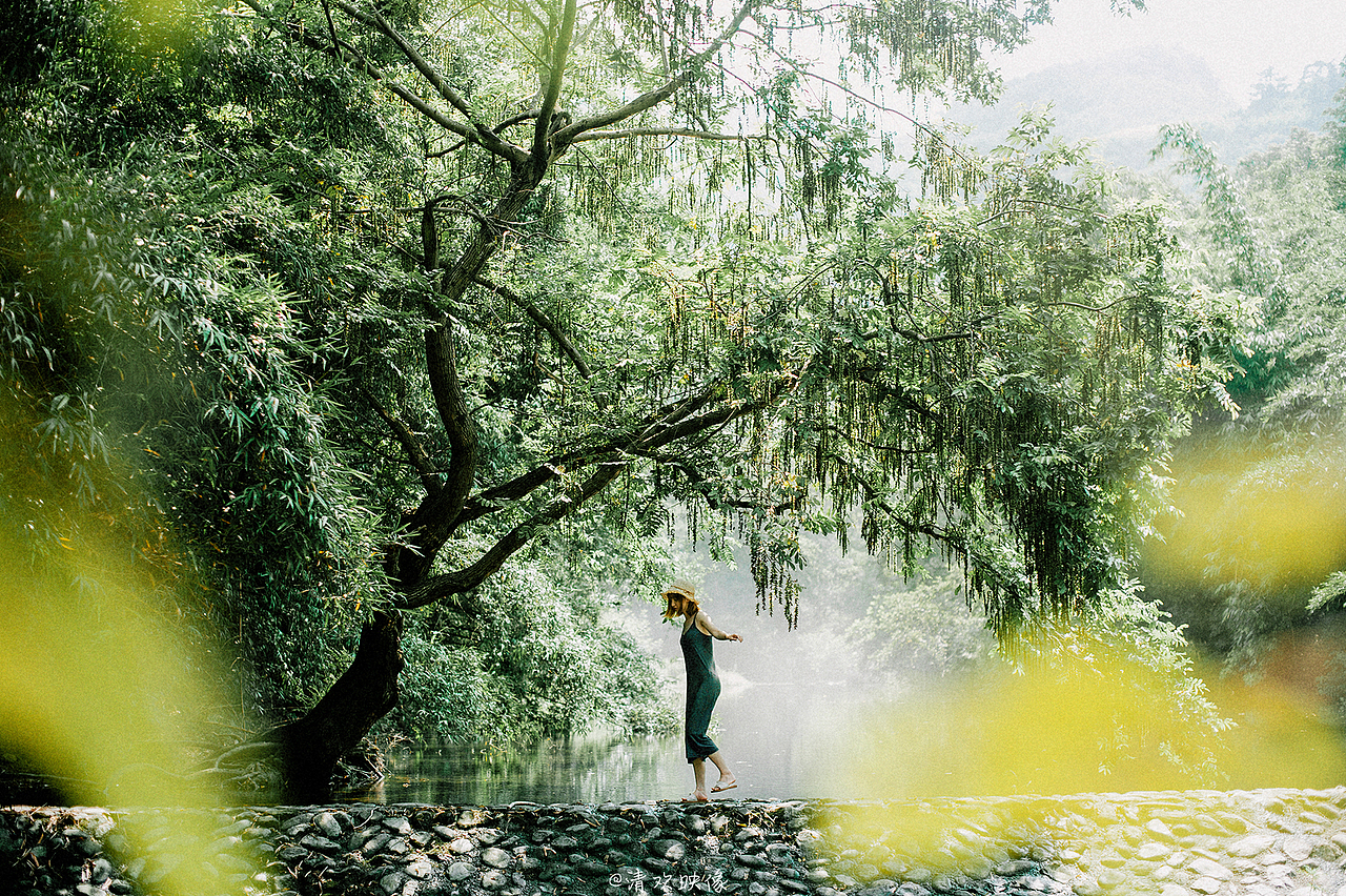 猫，少女与夏（图ZMTI2NTMzNzU2） - 人像摄影 - 站酷设计师清欢映像原创素材 - 站酷ZCOOL