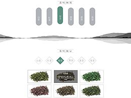 山茶花开