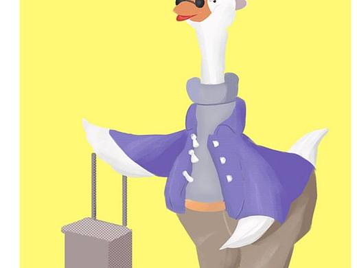 不太聪明的大鹅