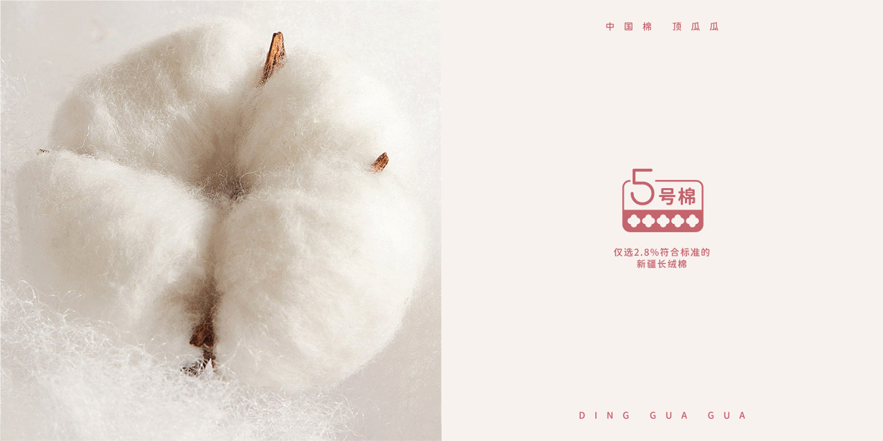 顶瓜瓜 X 一厘草坪-内衣品牌VI设计全案