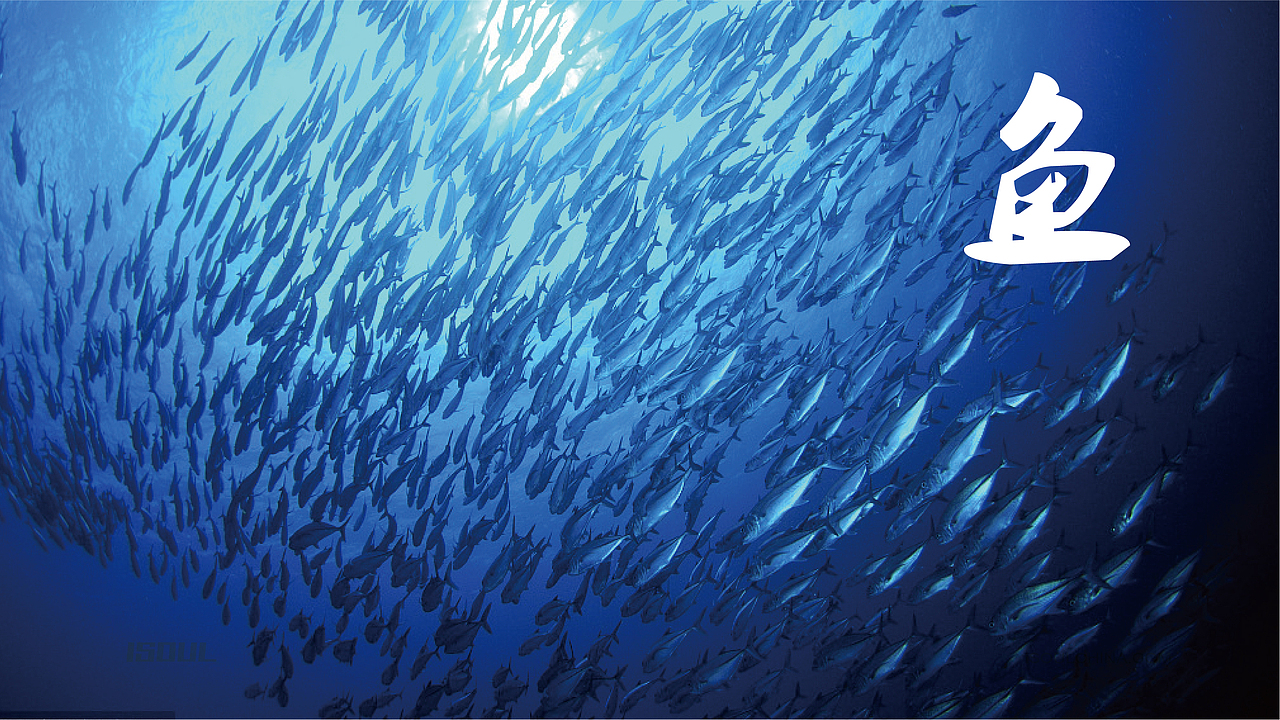 炑鱼（图ZMTU1OTkzMTU2） - 品牌 - 站酷设计师伊索品牌原创素材 - 站酷ZCOOL