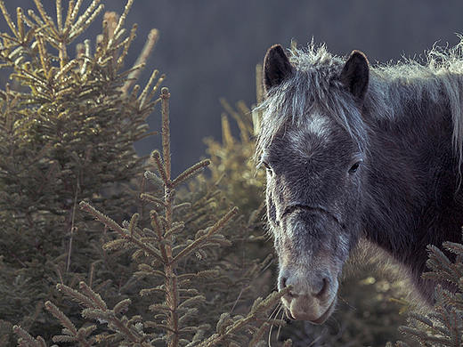 「行摄之路」离开一个地方，风景就不再属于你